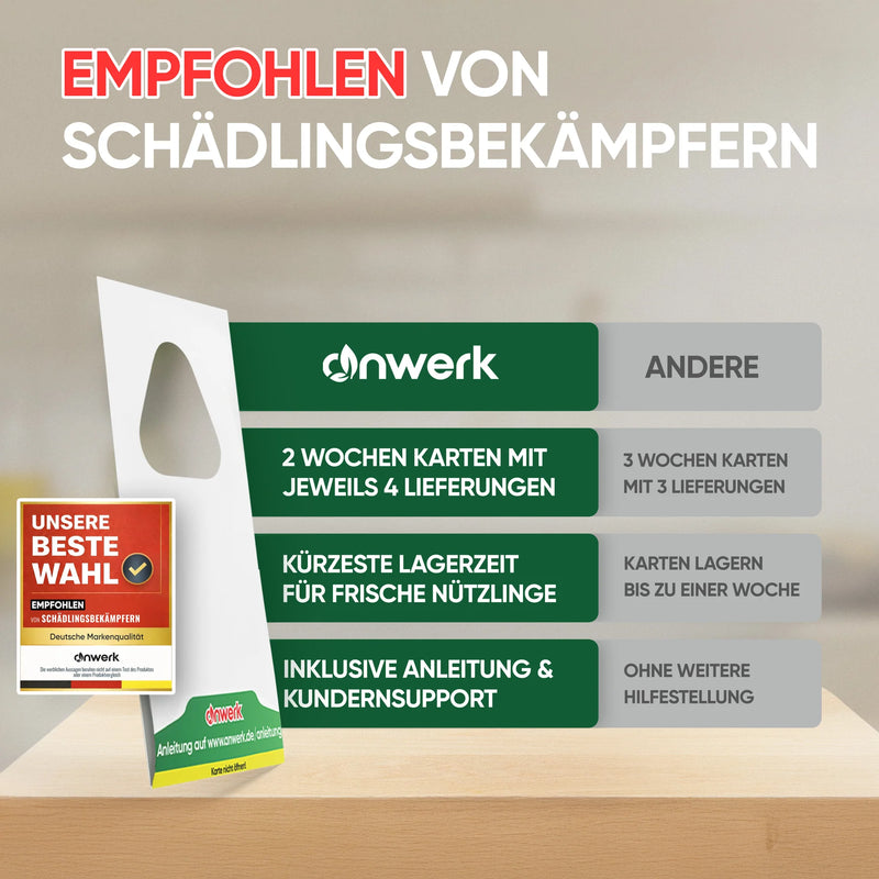 Vorher → Nachher