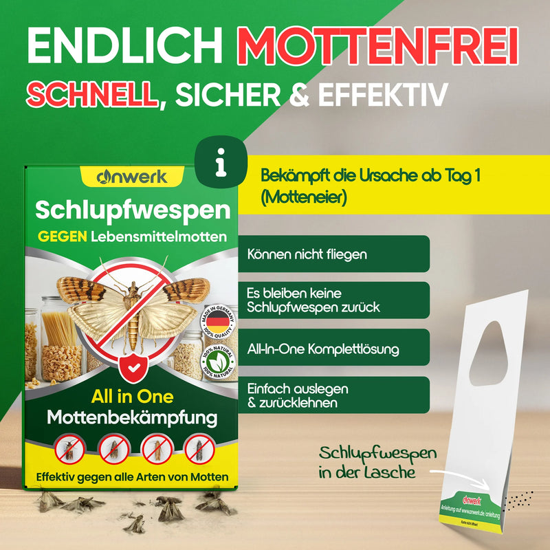Anwendung