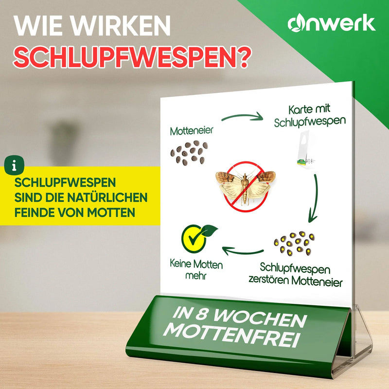 4 Lieferungen