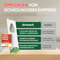 Vorher → Nachher
