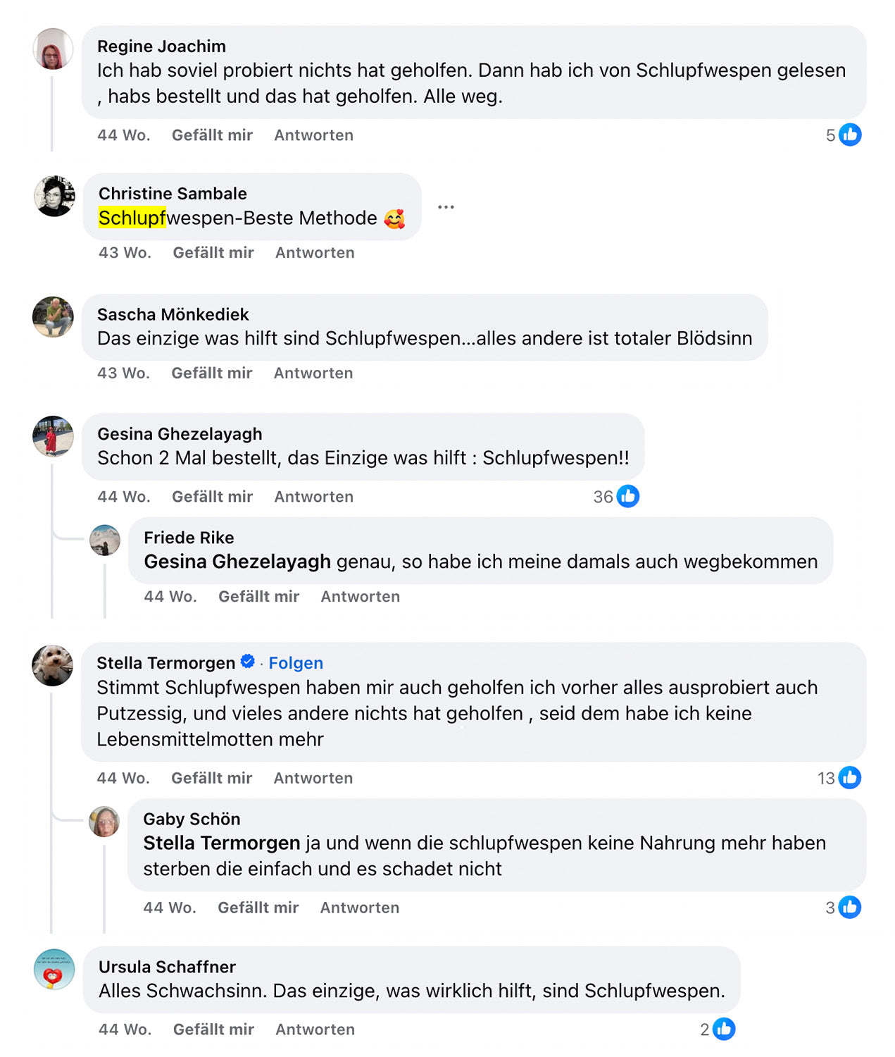 Facebook Kommentare zu Schlupfwespen